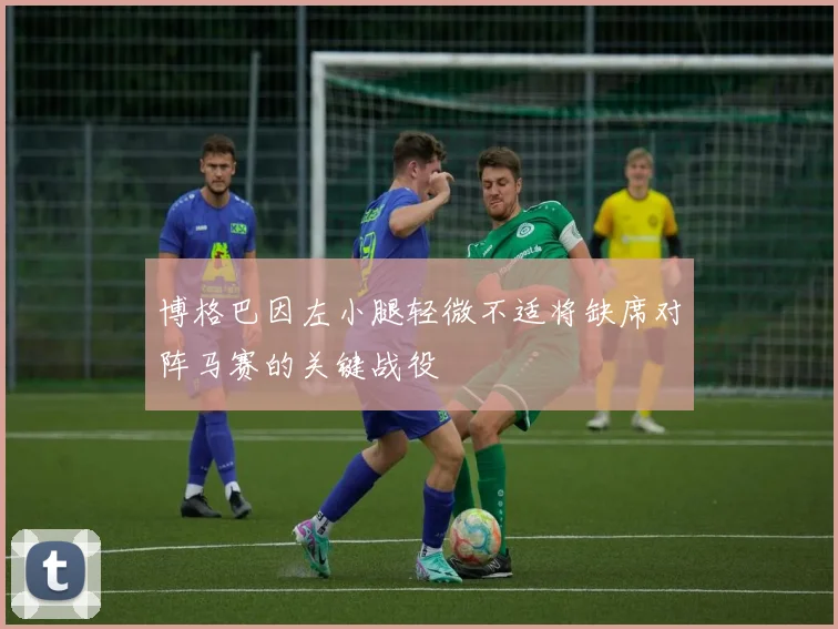 博格巴因左小腿轻微不适将缺席对阵马赛的关键战役