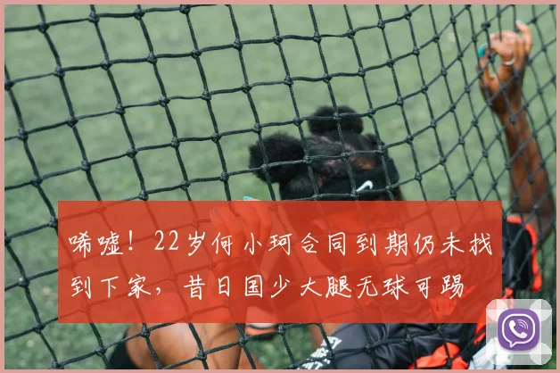 唏嘘！22岁何小珂合同到期仍未找到下家，昔日国少大腿无球可踢