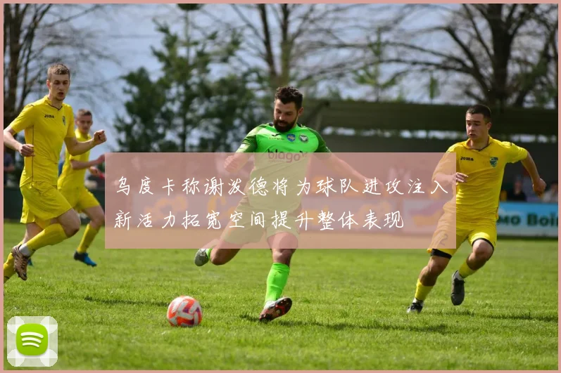 乌度卡称谢泼德将为球队进攻注入新活力拓宽空间提升整体表现