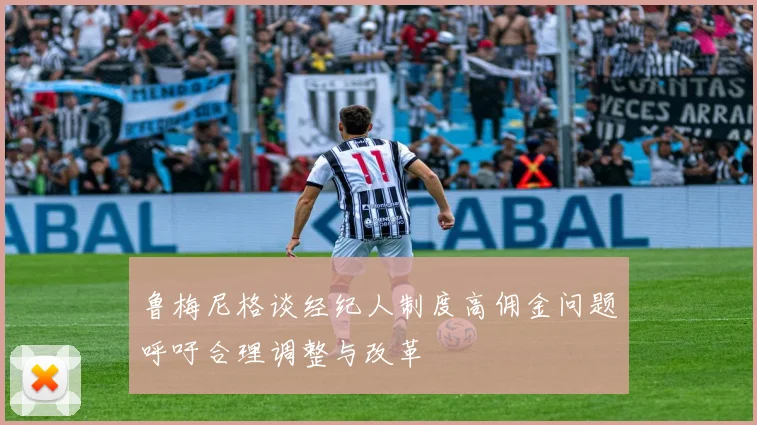 鲁梅尼格谈经纪人制度高佣金问题呼吁合理调整与改革