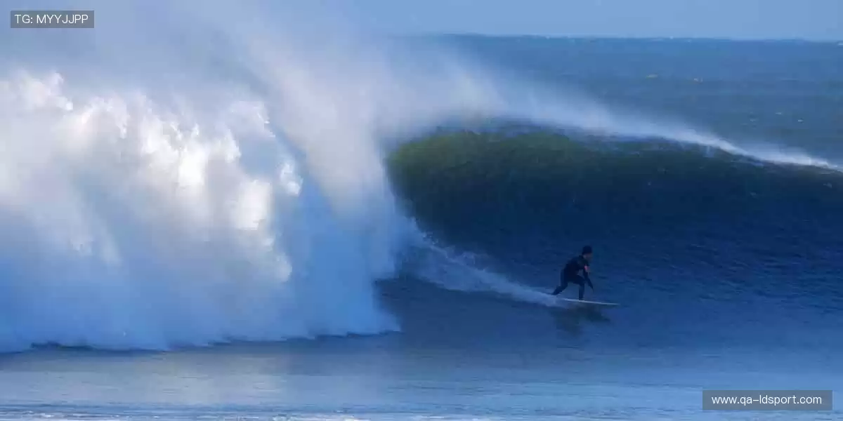 运动不止,装备先行!👟🔧 体育周边,细节决定胜负!
